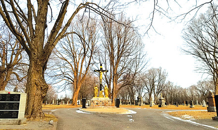 Dentiste Heritage Aylmer  - Un Accueil Chaleureux, Un Service Hors Du Commun Et Quoi Dire De Dr.tabet.un Dentiste En Or!