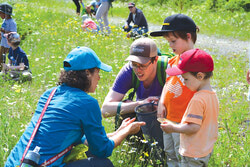 Randonnée familiale lors du BioBlitz 2018 dans la forêt Boucher. Photo: Marianne Strauss