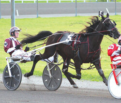 Brett MacDonald, récipiendaire du prix Future Star Award 2017. 2017 Future Star Award recipient, Brett MacDonald