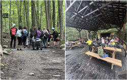 Photos: Courtesy of the Fondation forêt Boucher 
