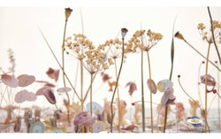 Through delicate, time-intensive compositions, Les secrets du vent invites viewers to reflect on the quiet beauty of transformation, impermanence, and the cycles of the natural world. Photo: Courtesy of Anne-Yvonne Jouan