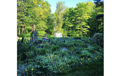 Les Forges de Wakefield, with its use of reclaimed materials and locally sourced food, stands as an example of how the Outaouais is aligning tourism with climate goals while supporting its communities. Photo: Courtesy of Les Forges de Wakefield’s Facebook page