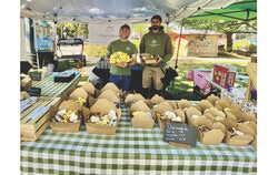 Mathieu Robillard and Steve Frappier, owners of Champignons Outaouais, in St-Sixte. The two sell taster boxes of various sizes to introduce people to the variety of regional mushrooms available. Photo: Lily Ryan