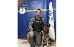 A two-year-old German Shepherd named Riley has joined the Gatineau Police canine unit, teaming up with handler Constable Gabriel Pouliot to assist with searches, detection and suspect apprehension across the city. Photo: Courtesy