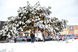Mercredi 4 janvier, 2017, les conditions climatiques et l’accumulation de neige et verglas entre quatre et huit centimètres n’était pas idéal.  Mère nature était là pour offrir un abri a l’arrêt d’autobus STO face aux Galeries Aylmer.	Photo: William Pryor