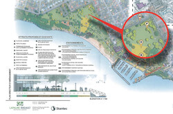 Illustration: Plan consultatif pour le nouvel aménagement du parc des Cèdres, tel que présenté aux organismes communautaires le 18 février. 
