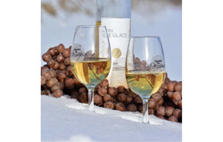 Vignoble de l’Orpailleur, a renowned Quebec winery celebrated for its award-winning ice wines, exemplifies the province's ability to blend artisanal heritage with global digital outreach in the luxury market. Photo: Courtesy of Vignoble de l’Orpailleur